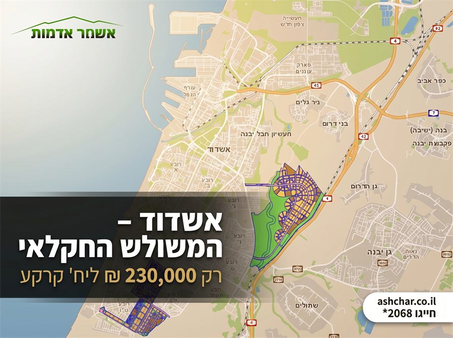 פוסט לפרופיל העסקי בגוגל